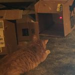 Two great things that don’t go together…