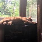 Isn’t It a Tough Life?