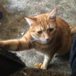 Pay Attention To Me!