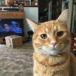 While I’m Deep in Code…