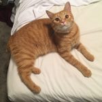 Larry's Favoritest Place